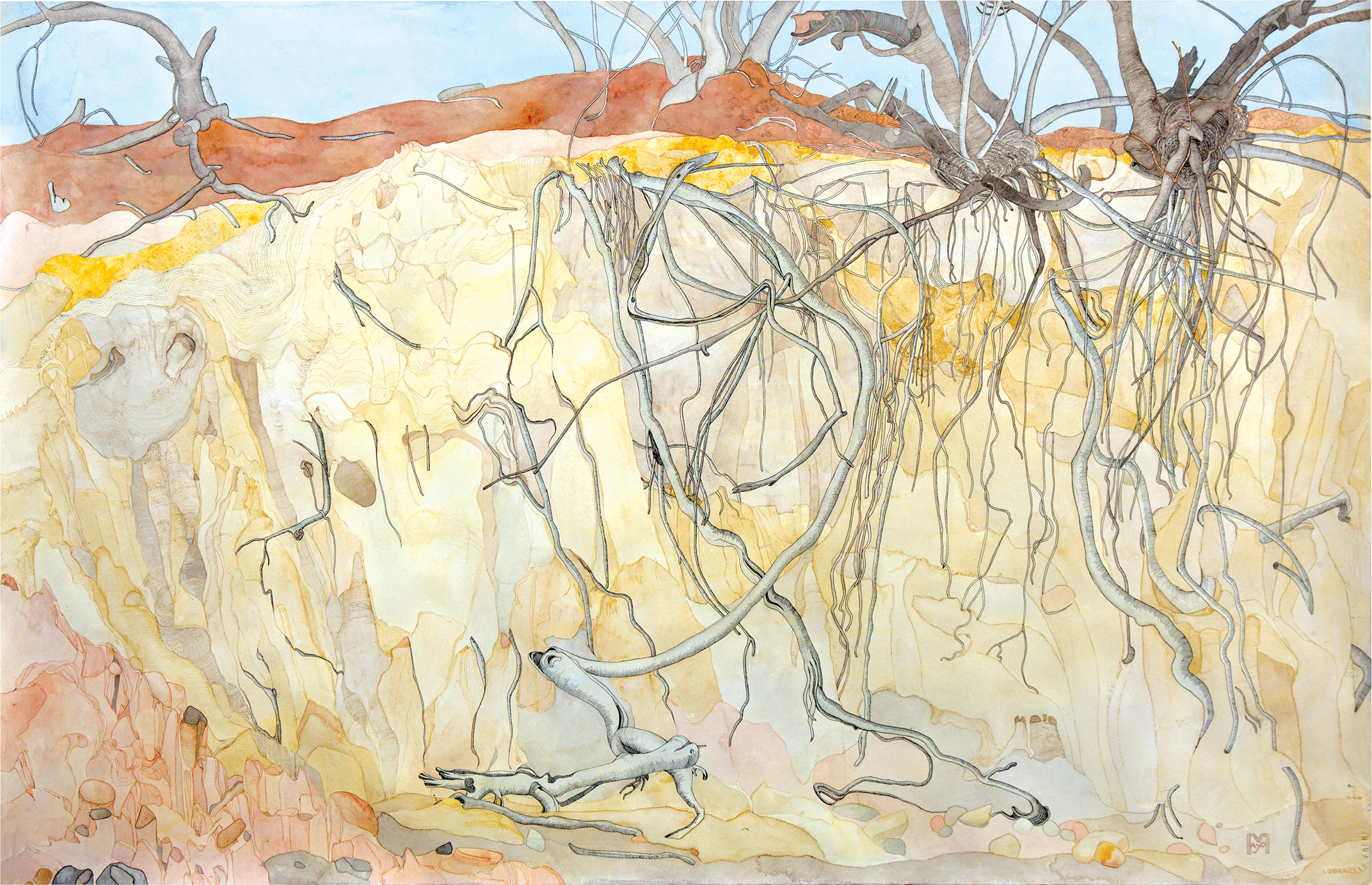 Exposed Mallee Roots In Eroded Creek, watercolour with some ink, 85 X 225cm