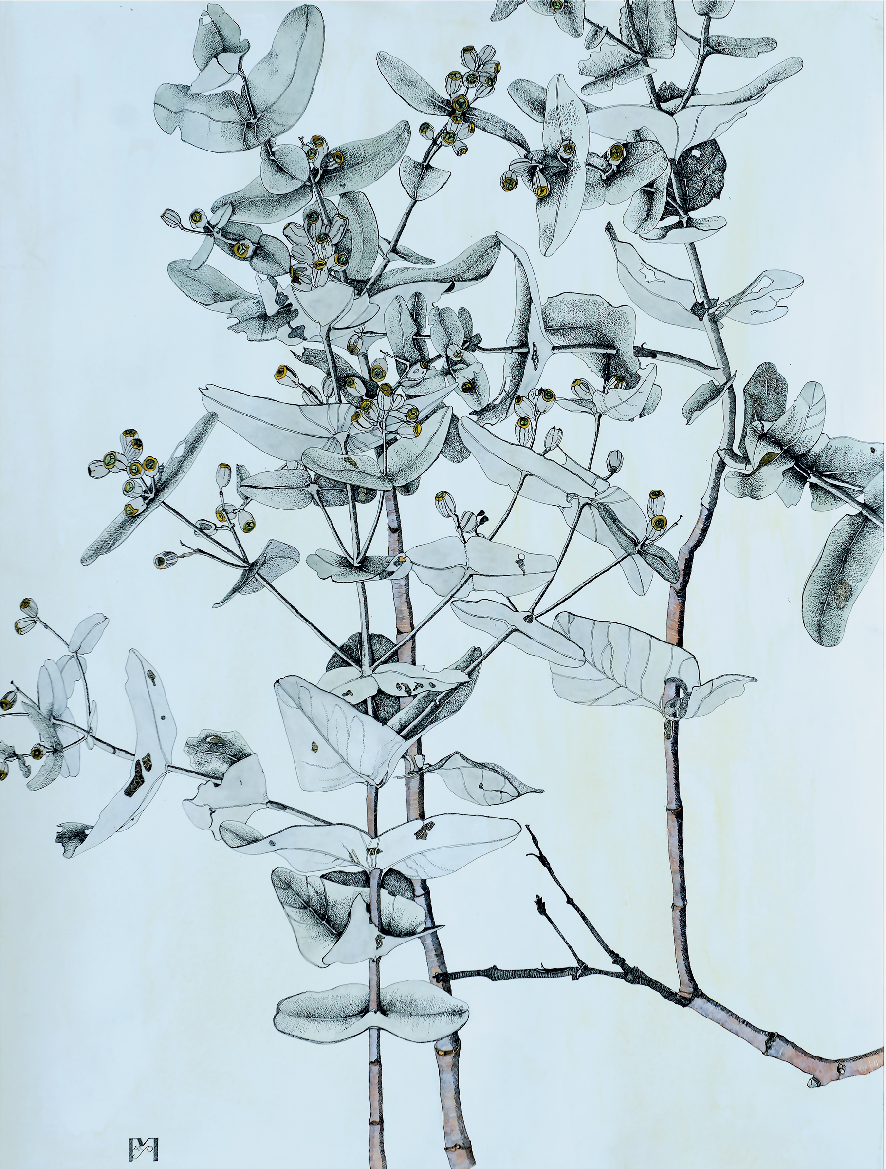 Field Study (August Expedition), watercolour ink drawing, 90 X 77cm