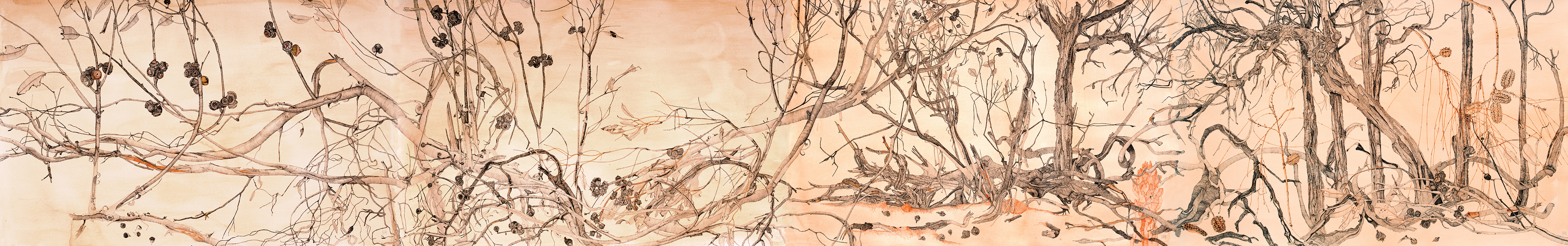 Finke River Mallee Desert Oaks, ink drawing, 57 X 203cm
