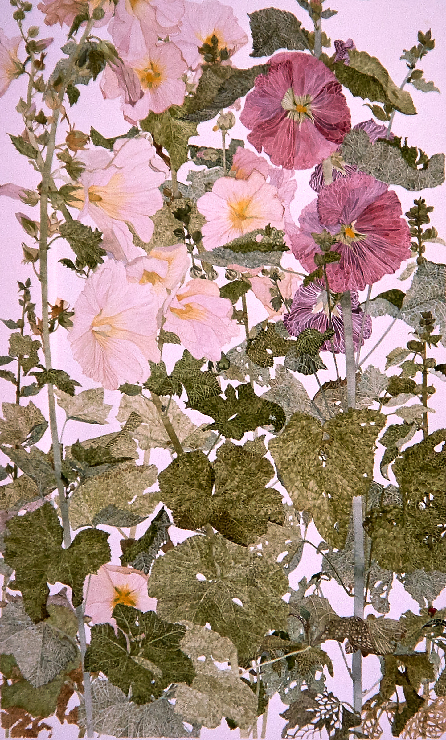 Hollyhocks, from Artistic Reflections on the Garden_ water colour_77x57cm