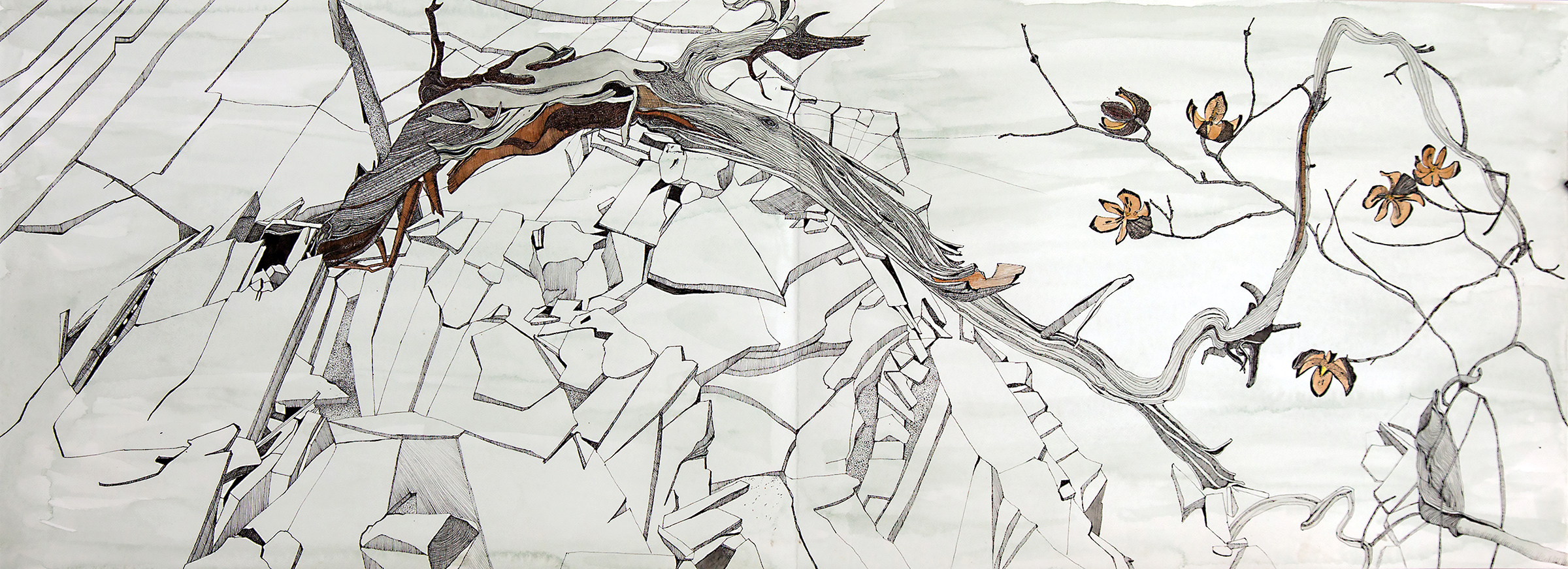 Oodnadatta Track, ink drawing with some watercolour, Concertina Book, 45 X 114cm