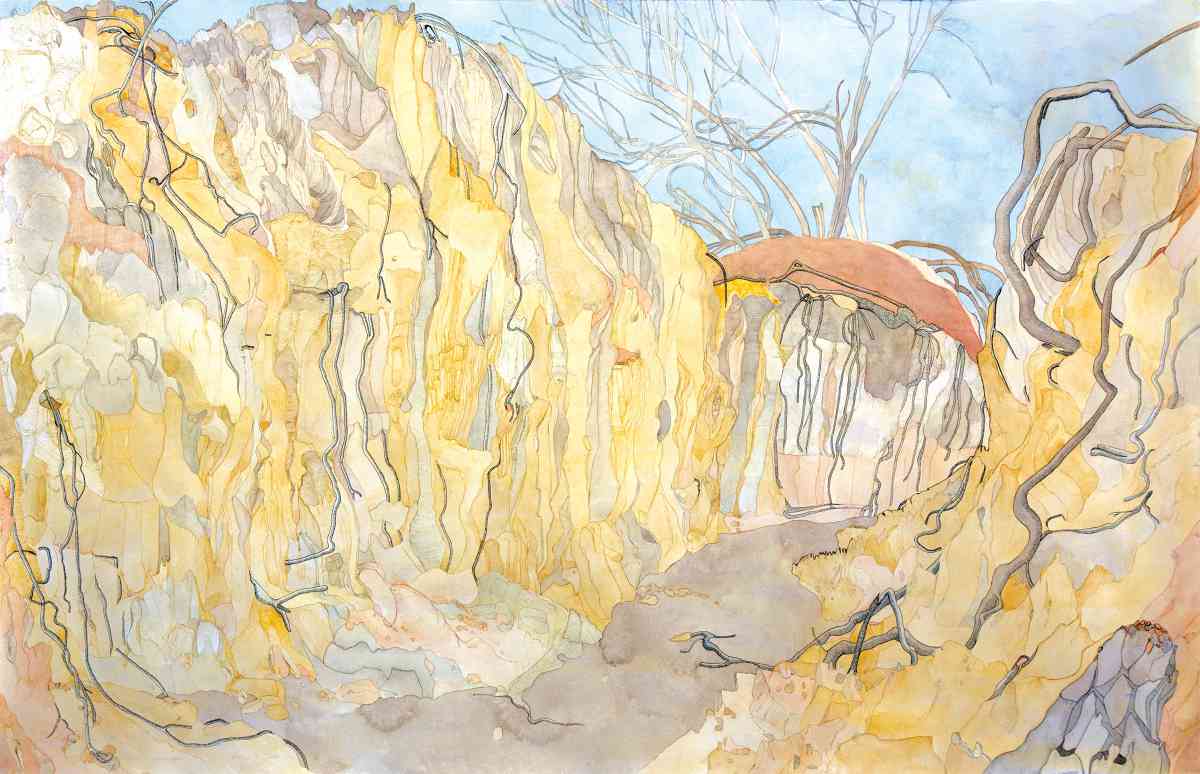 Exposed Mallee Roots In Eroded Creek, watercolour with some ink, 85 X 225cm