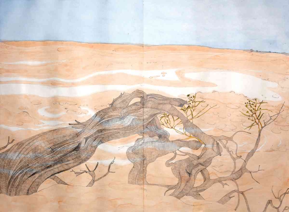 Simpson Desert, watercolour, pencil drawing, Concertina Book, 45 X 62cm​