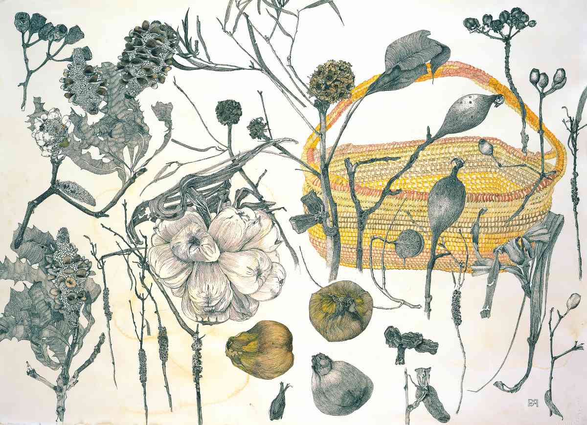 Pandanus Basket, watercolour ink drawing, 57 X 77cm