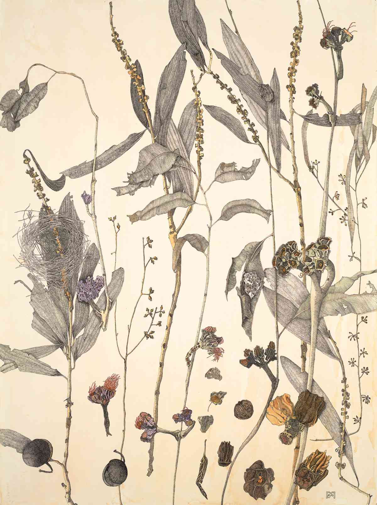 The Mandarin’s Garden and What I Found There, watercolour ink drawing, 57 X 153cm