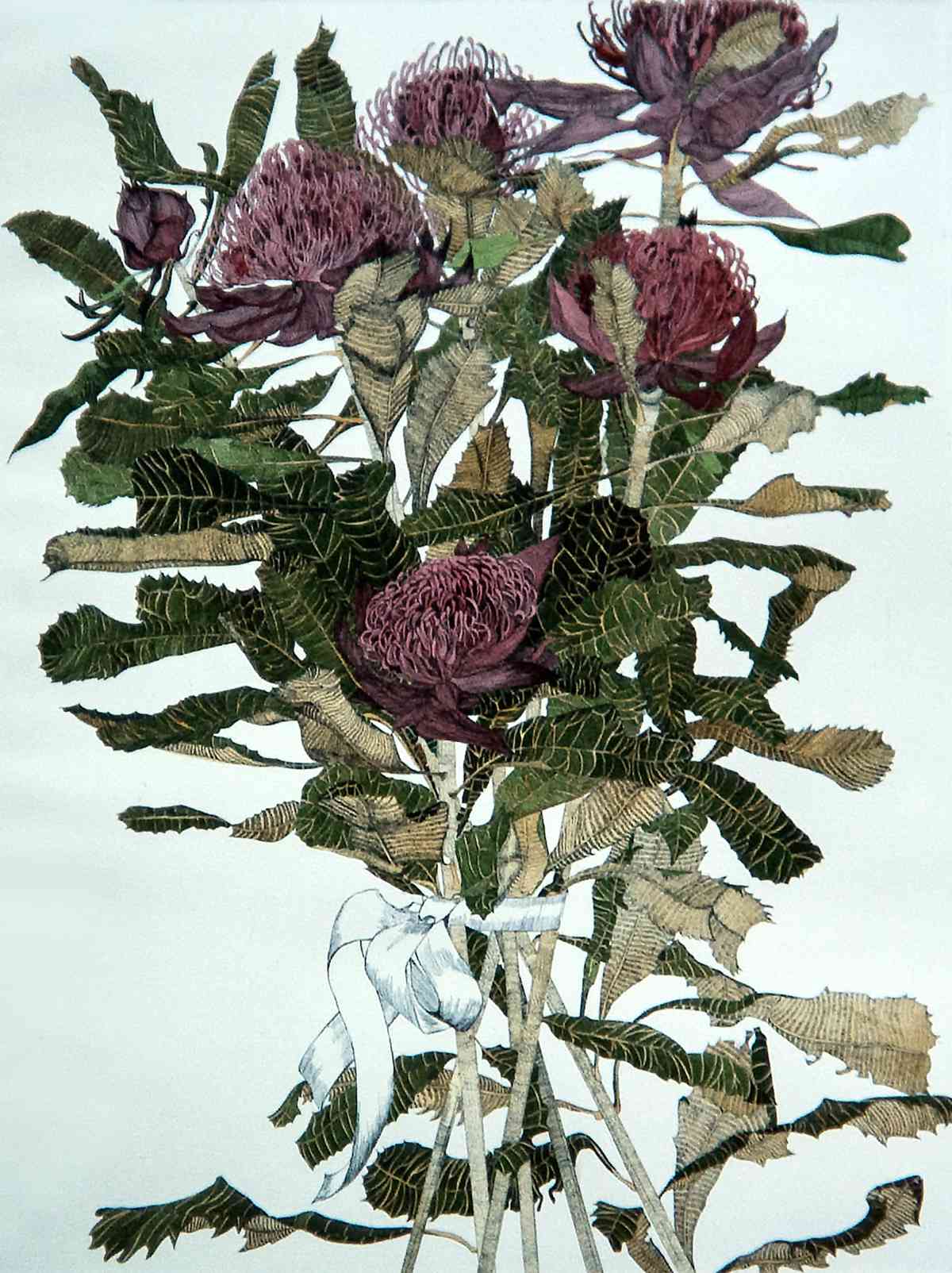 Waratah, 1988_etching, edition of 15 of which 14 were hand-coloured_plate 60 x 45cm